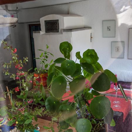 Bed And Breakfast Da Toldo Russo Экстерьер фото